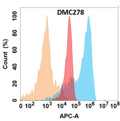 Anti-JAM-A antibody(DMC278), IgG1 Chimeric mAb