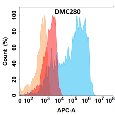 Anti-CD21 antibody(DMC280), IgG1 Chimeric mAb