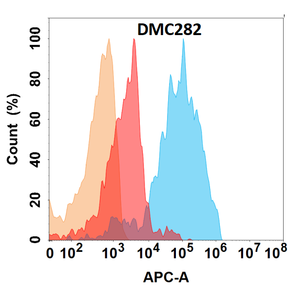 Anti-IL11RA antibody(DMC282), IgG1 Chimeric mAb