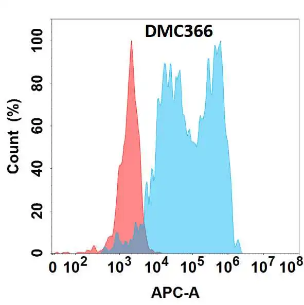 Anti-CFB antibody(DMC366), IgG1 Chimeric mAb