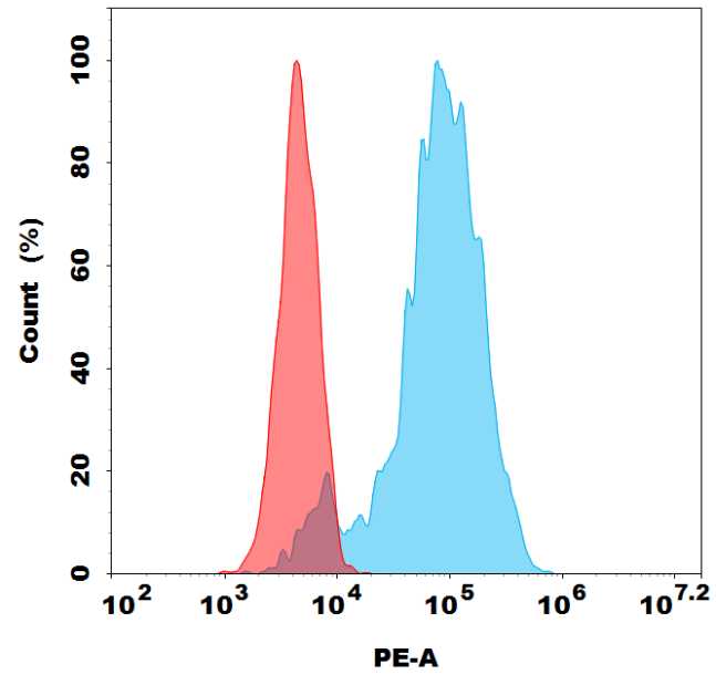 PE-conjugated Anti-GPR75 antibody(DMC368); IgG1 Chimeric mAb