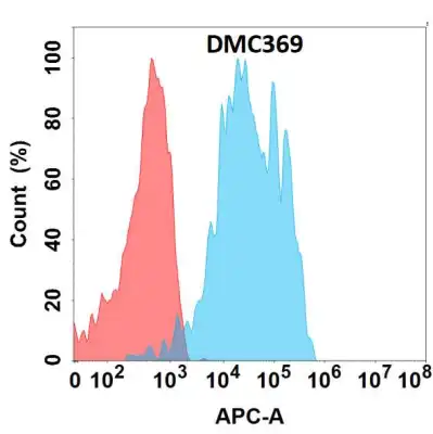 Anti-HER2 antibody(DMC369), IgG1 Chimeric mAb