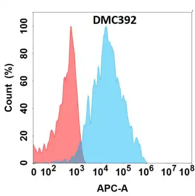 Anti-B4GALT1 antibody(DMC392), IgG1 Chimeric mAb