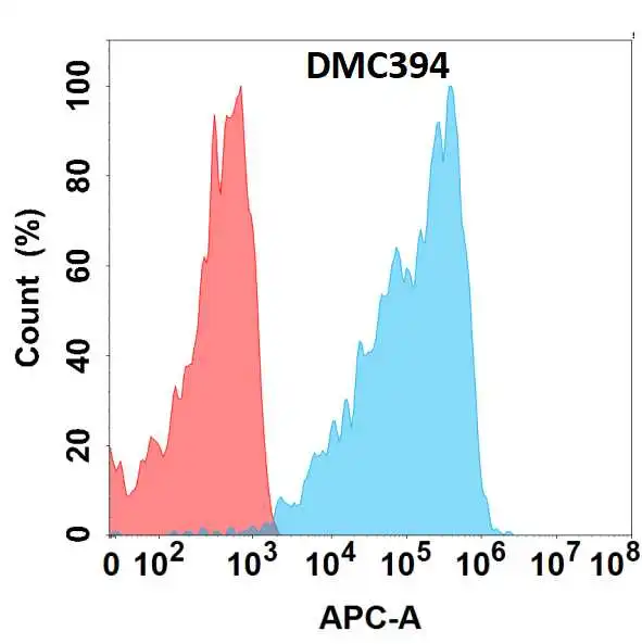 Anti-CLEC2D antibody(DMC394), IgG1 Chimeric mAb