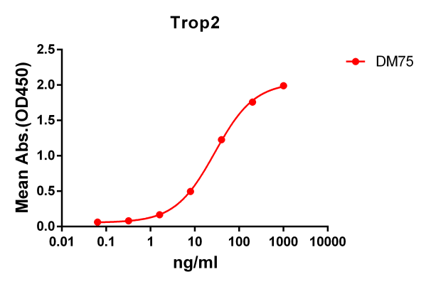 Anti-Trop2 antibody(DM75), Rabbit mAb