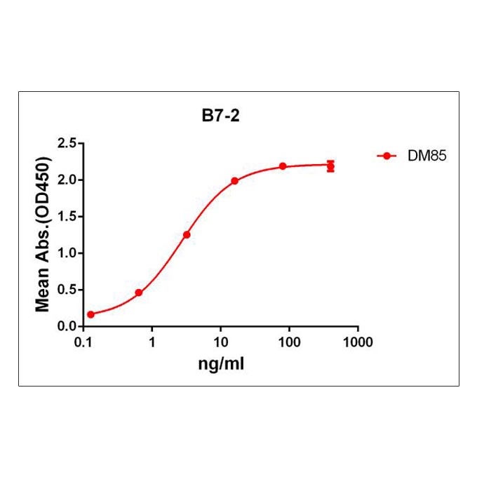 Anti-B7-2 antibody(DM85), Rabbit mAb