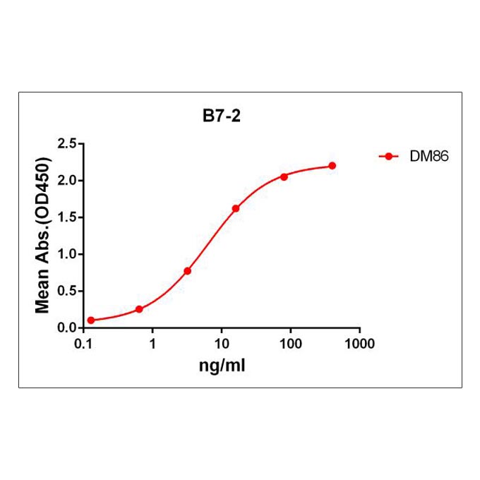 Anti-B7-2 antibody(DM86), Rabbit mAb