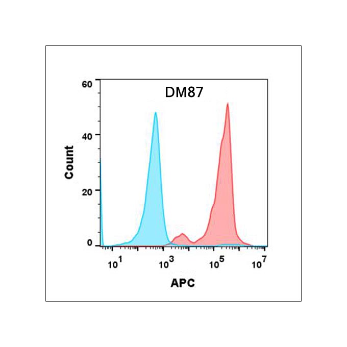 Biotinylated Anti-PSCA antibody(DM87), Rabbit mAb