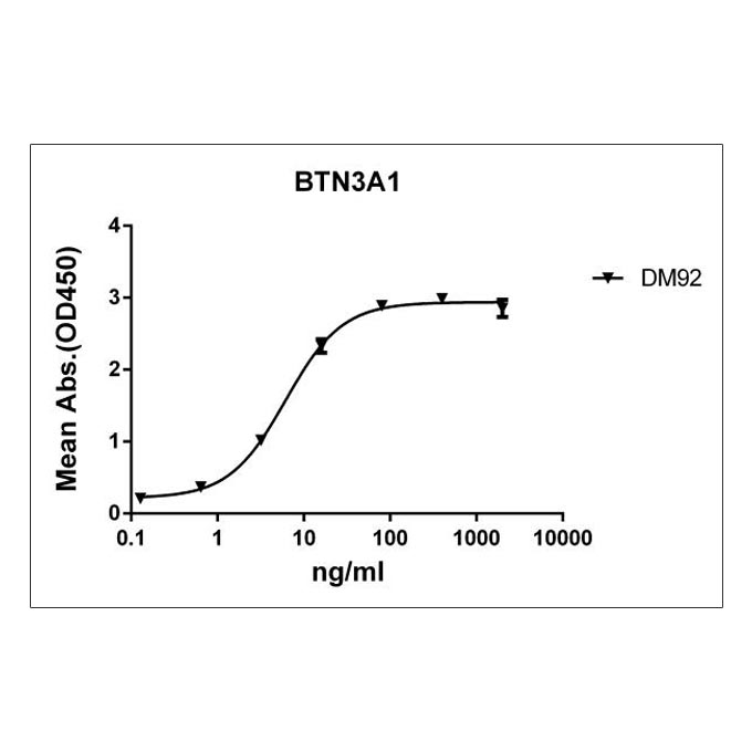 Anti-BTN3A1 antibody(DM92), Rabbit mAb