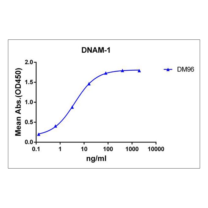 Anti-DNAM1 antibody(DM96), Rabbit mAb