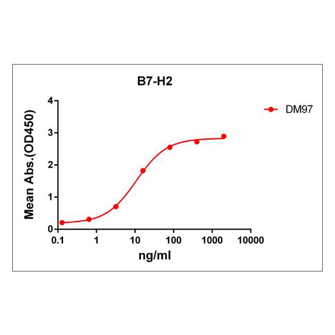 Anti-B7-H2 antibody(DM97), Rabbit mAb