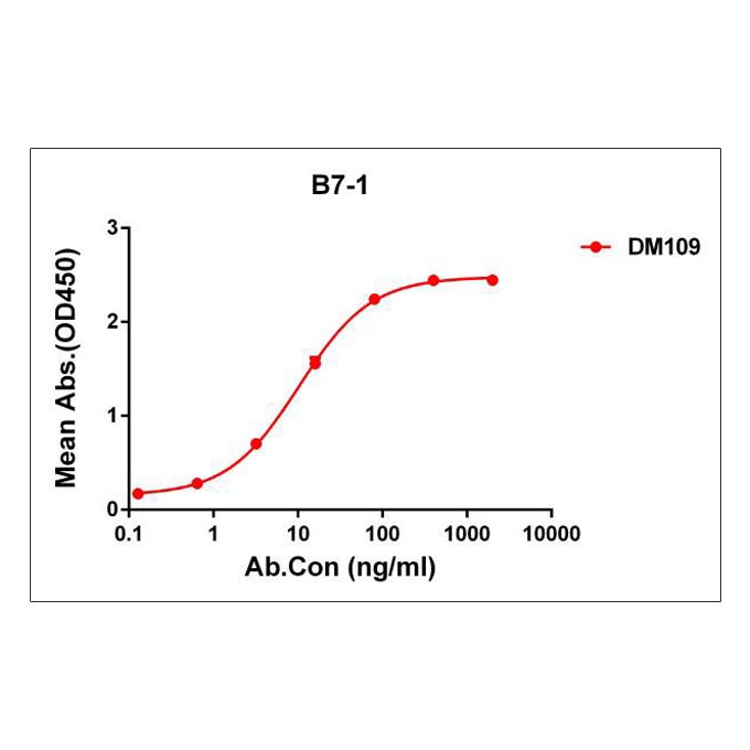 Anti-B7-1 antibody(DM109), Rabbit mAb