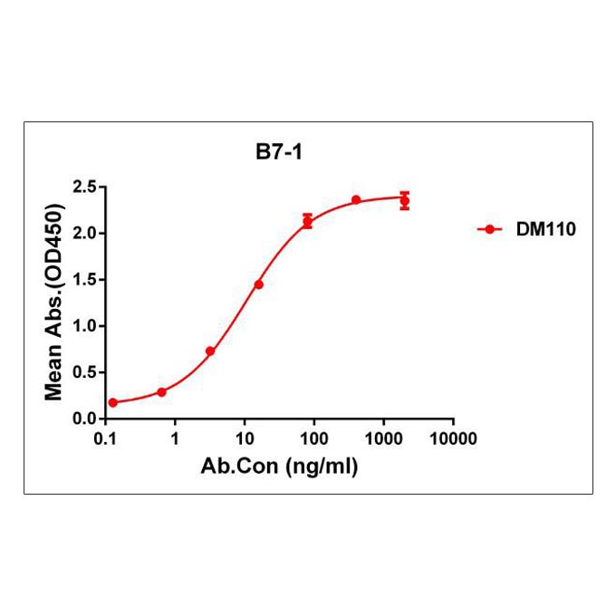 Anti-B7-1 antibody(DM110), Rabbit mAb