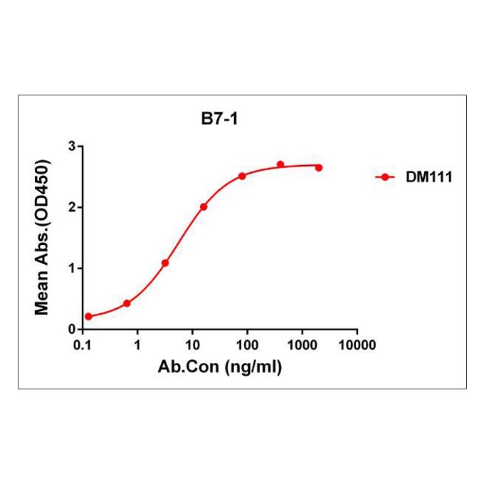 Anti-B7-1 antibody(DM111), Rabbit mAb