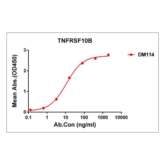 Anti-TNFRSF10B antibody(DM114), Rabbit mAb