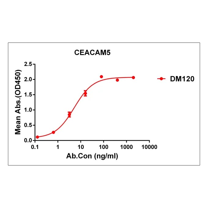 Anti-CEACAM5 antibody(DM120), Rabbit mAb