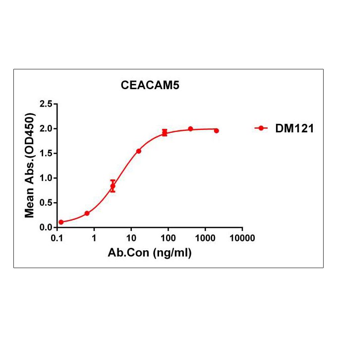 Anti-CEACAM5 antibody(DM121), Rabbit mAb