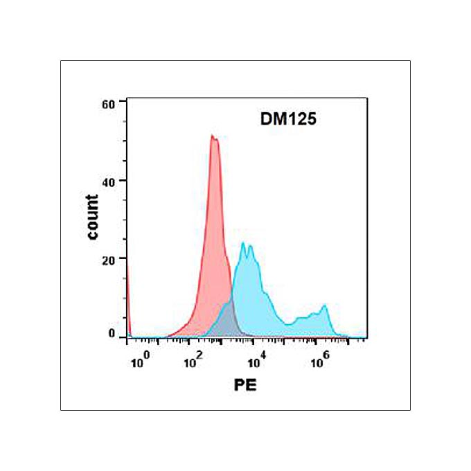 Anti-IL-17RA antibody(DM125), Rabbit mAb