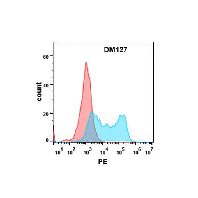 Anti-BAFF-R antibody(DM127), Rabbit mAb