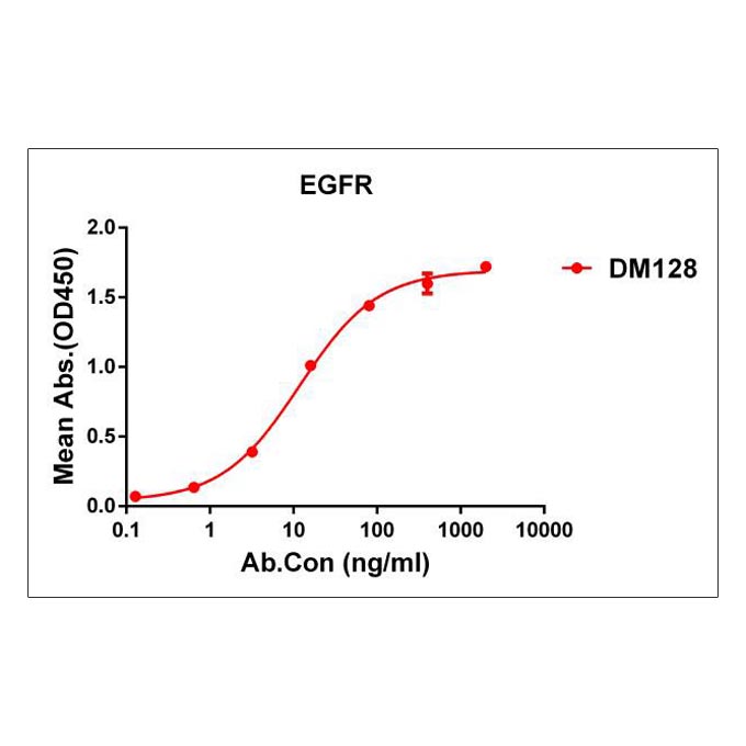 Anti-EGFR antibody(DM128), Rabbit mAb