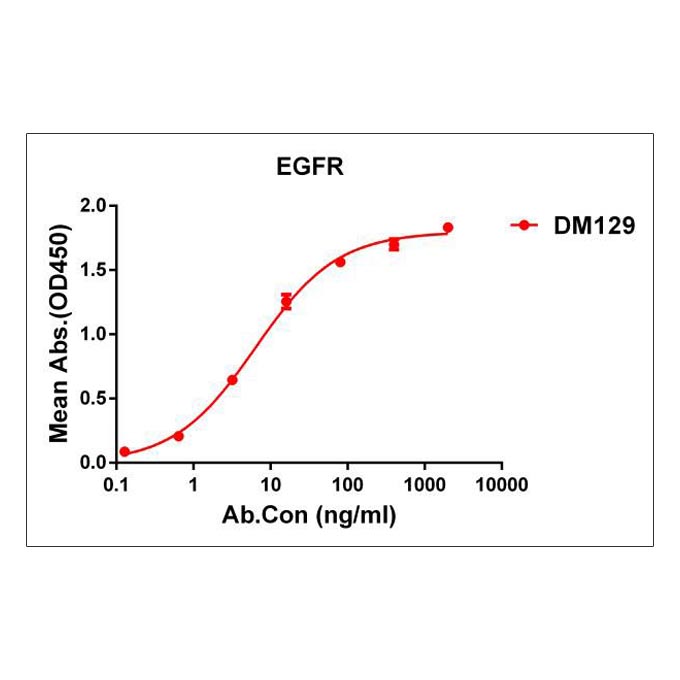 Anti-EGFR antibody(DM129), Rabbit mAb