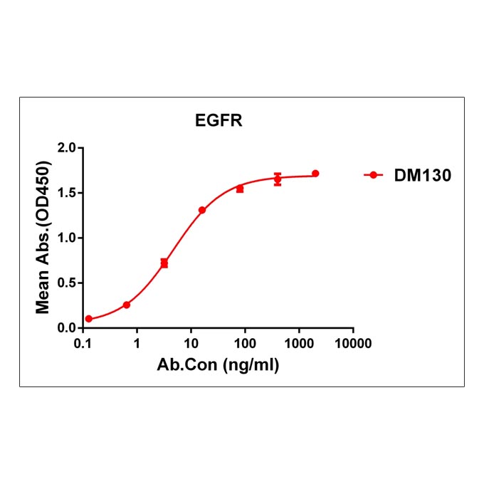 Anti-EGFR antibody(DM130), Rabbit mAb