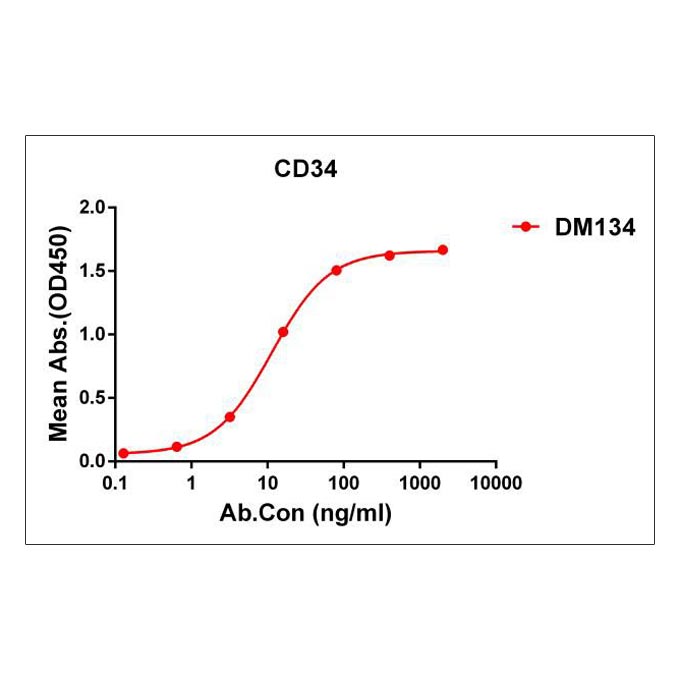 Anti-CD34 antibody(DM134), Rabbit mAb