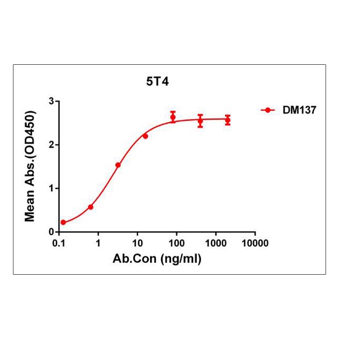 Anti-5T4 antibody(DM137), Rabbit mAb