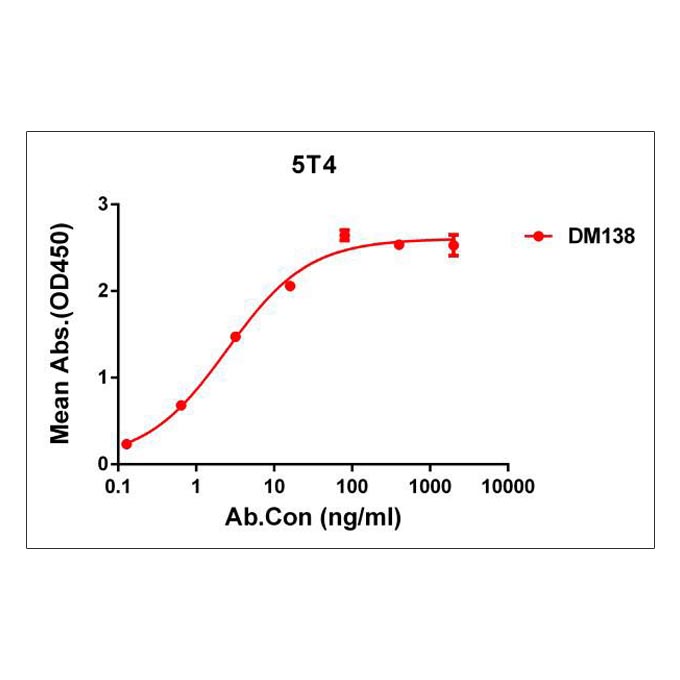 Anti-5T4 antibody(DM138), Rabbit mAb