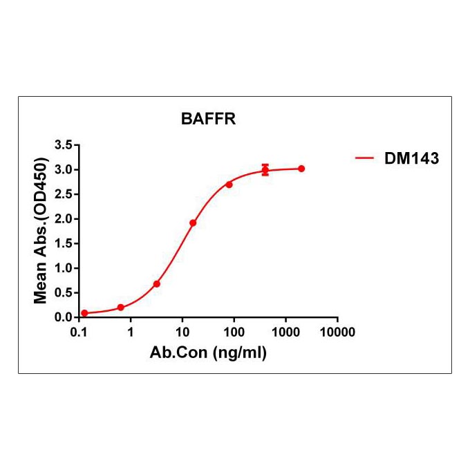 Anti-BAFF-R antibody(DM143), Rabbit mAb