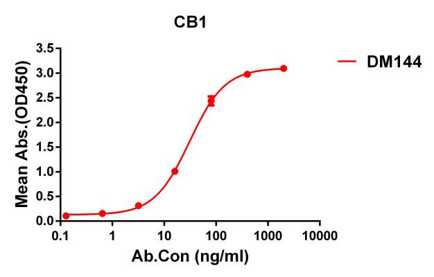 Anti-CB1 antibody(DM144), Rabbit mAb