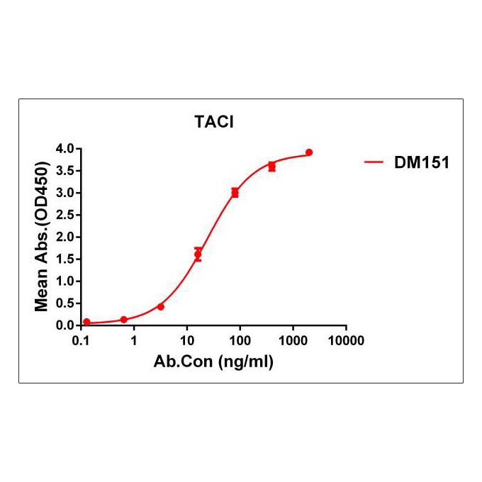 Anti-TACI antibody(DM151), Rabbit mAb