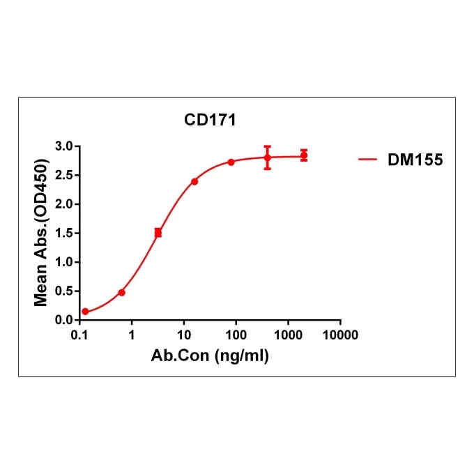 Anti-CD171 antibody(DM155), Rabbit mAb