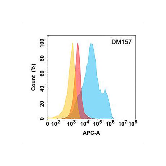 Anti-MICA antibody(DM157), Rabbit mAb