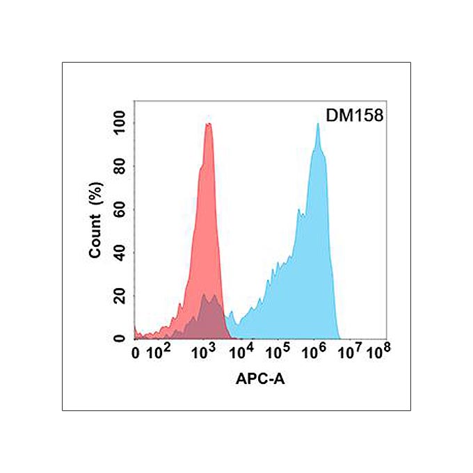 Anti-AXL antibody(DM158), Rabbit mAb