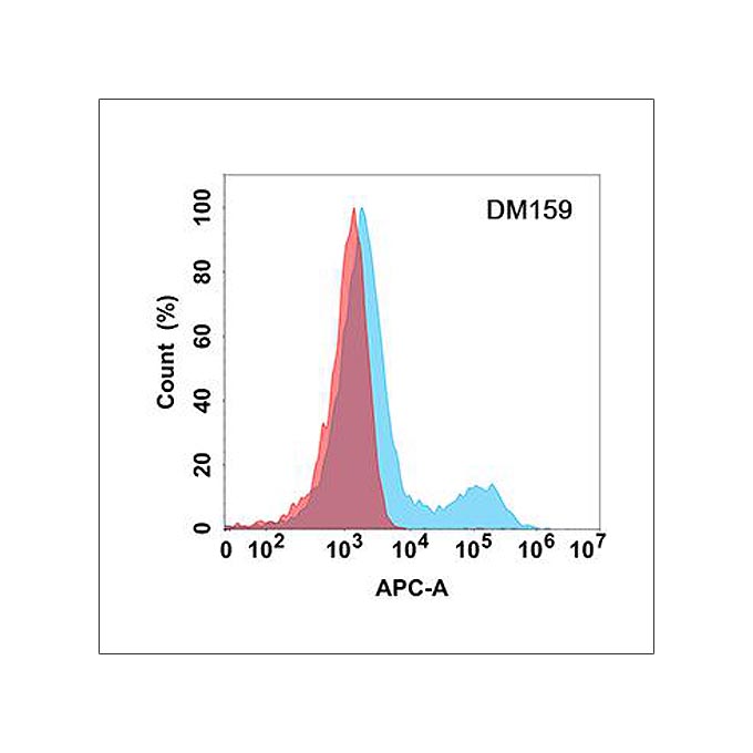 Anti-NTB-A antibody(DM159), Rabbit mAb