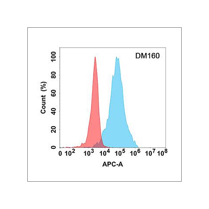 Anti-LAG3 antibody(DM160), Rabbit mAb