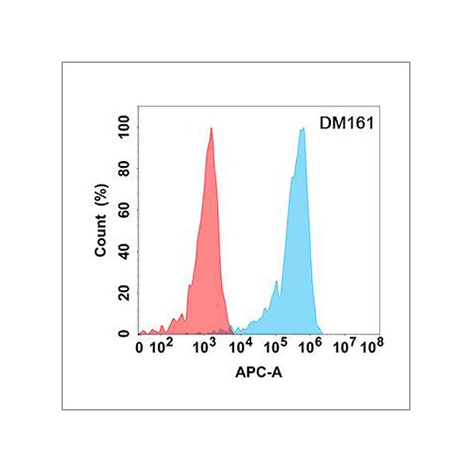 Anti-CD5 antibody(DM161), Rabbit mAb