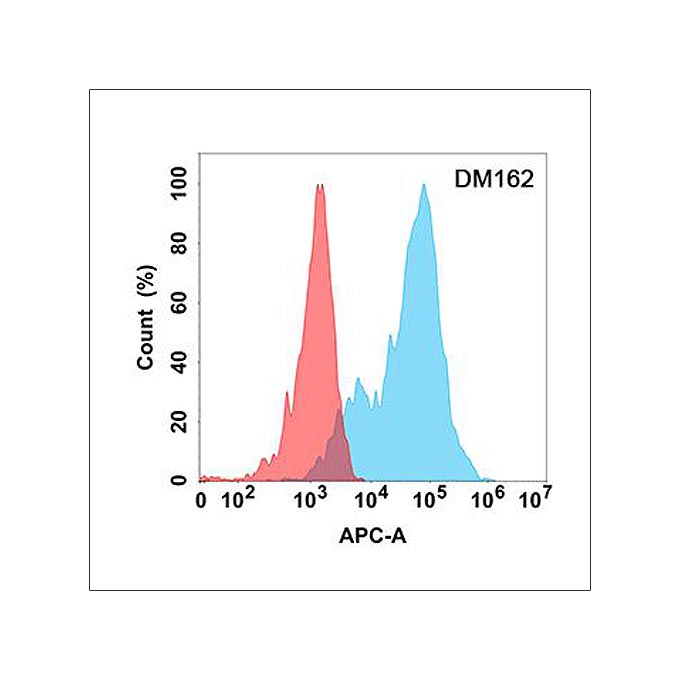 Anti-EPHA3 antibody(DM162), Rabbit mAb