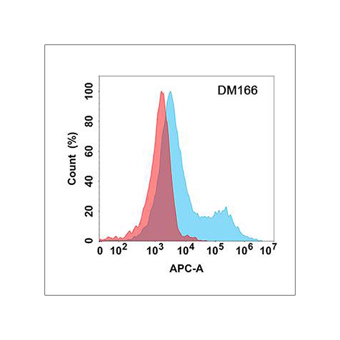 Anti-CD37 antibody(DM166), Rabbit mAb