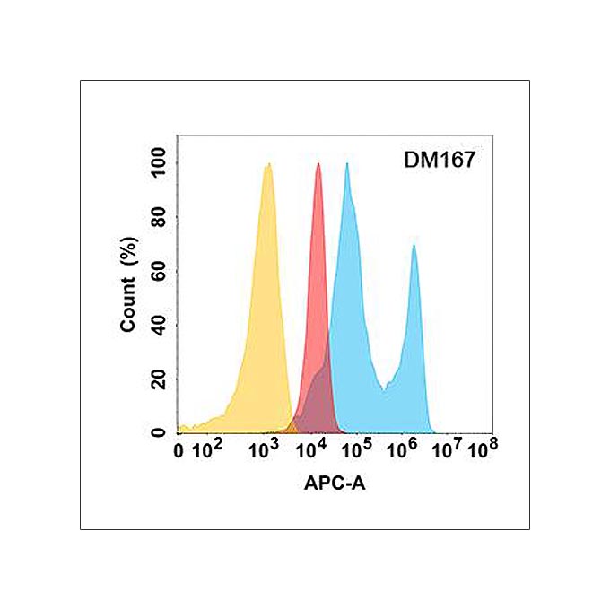 Anti-EPHA2 antibody(DM167), Rabbit mAb