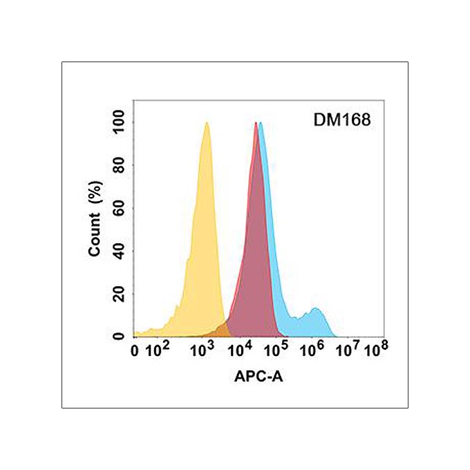 Anti-MICB antibody(DM168), Rabbit mAb