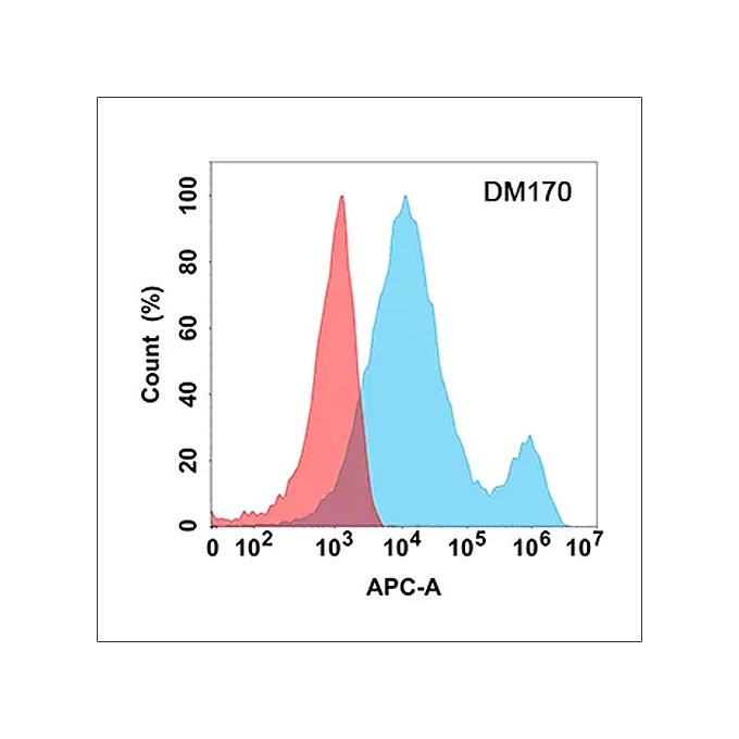 Anti-LIGHT antibody(DM170), Rabbit mAb