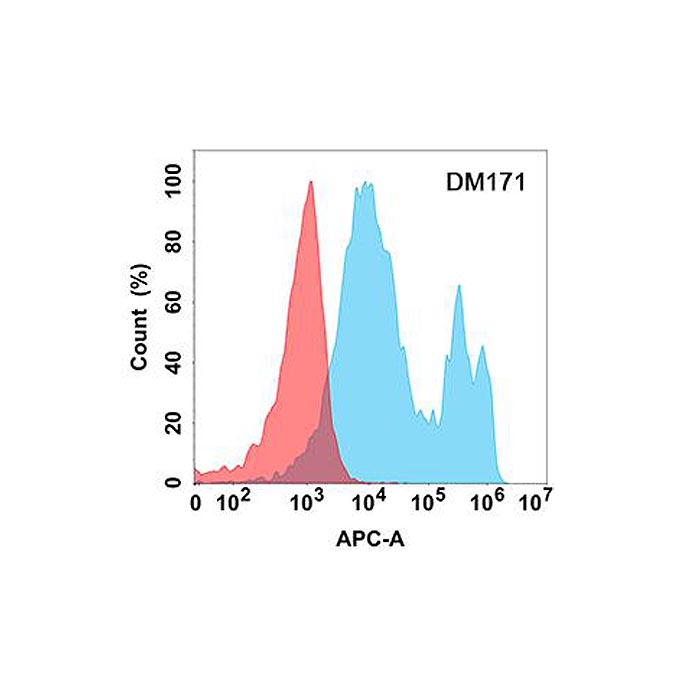 Anti-CA9 antibody(DM171), Rabbit mAb