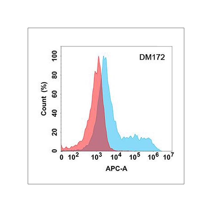 Anti-CD114 antibody(DM172), Rabbit mAb