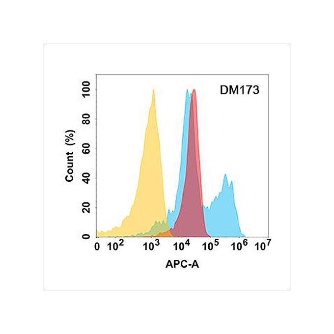 Anti-B7H6 antibody(DM173), Rabbit mAb