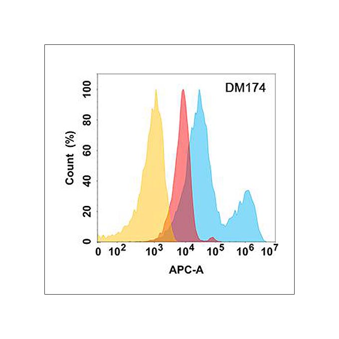 Anti-ROR2 antibody(DM174), Rabbit mAb