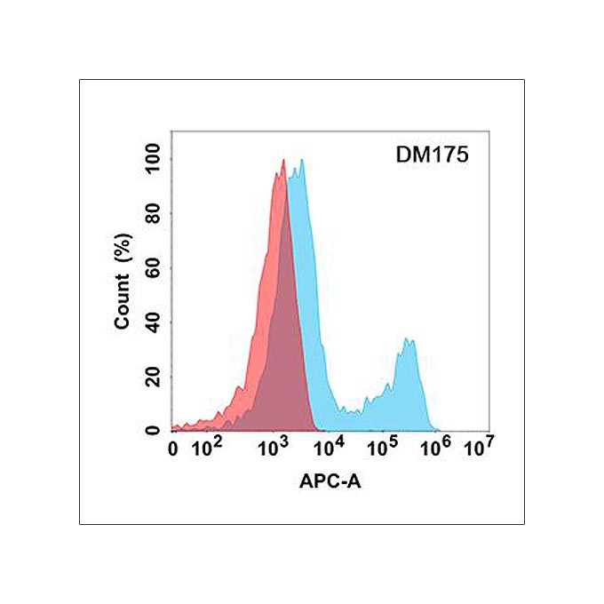 Anti-Her3 antibody(DM175), Rabbit mAb