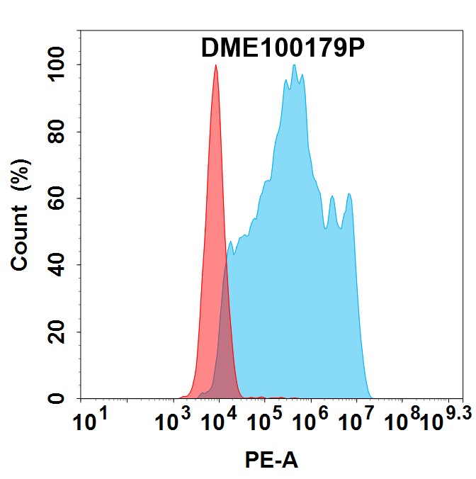 PE-conjugated Anti-CLDN18.2 antibody(DM179); Rabbit mAb