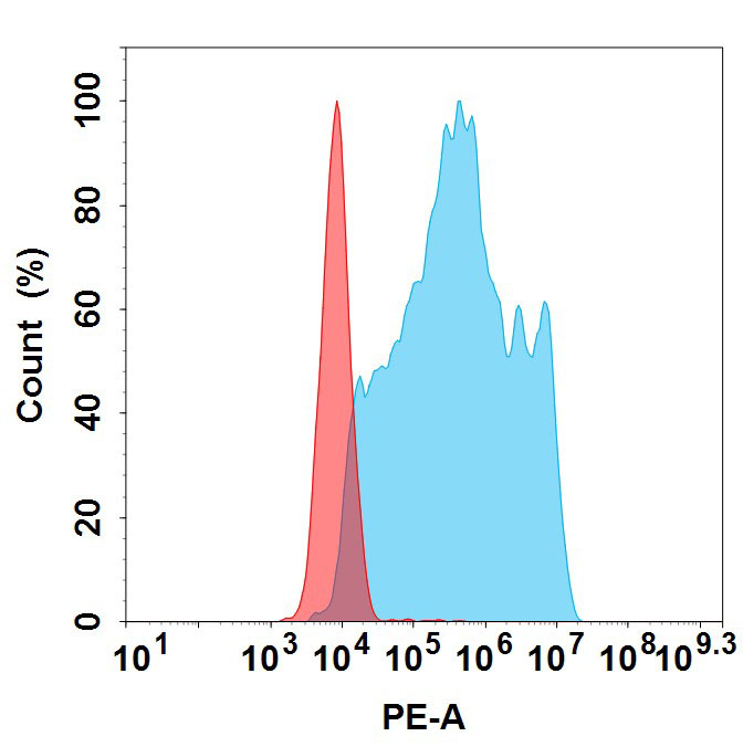 PE-conjugated Anti-CLDN18.2 antibody(DM179); Rabbit mAb